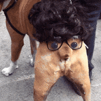 image.png.1cefc7b98dd318581d979b08730bdf04.png