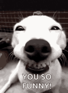 image.png.d9235f6c15d65cfaf6f5617c559d1b3f.png