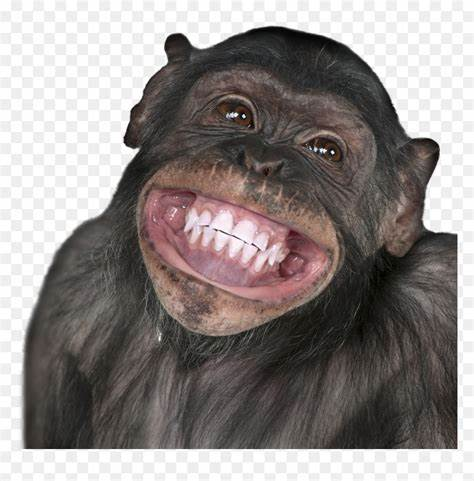 image.png.f6a9978c2e1ce7f80a66708309052c0d.png