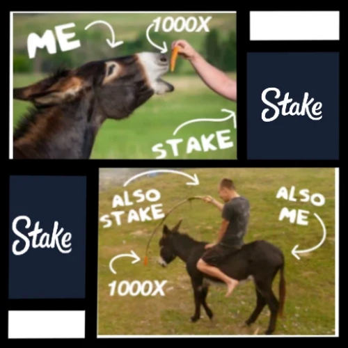 image.thumb.png.03954fc27d6d498ee0a14947f263b955.png