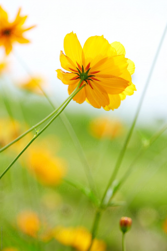 image.thumb.png.17440ec0dc0dc9b92f2d711583cfdd0c.png
