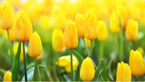 image.thumb.png.428f5a9262c438ac5675d2f70d93b7f8.png