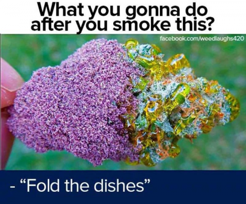 image.thumb.png.555d355d171ff9c9dfbce96d59ec846c.png