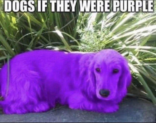 image.thumb.png.cc9e198497b0791db6348cddef870787.png