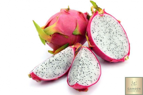 image.thumb.png.fcf23feccd4d5d6a5a38cd378549ce19.png