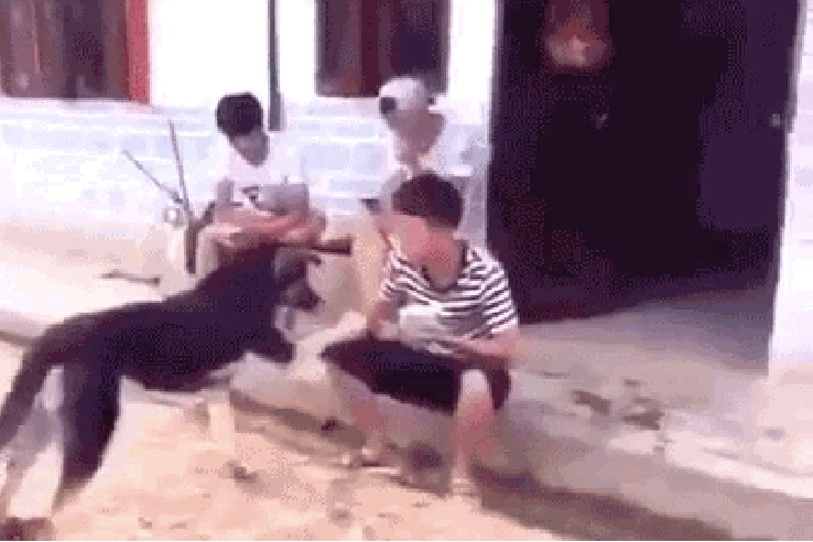 this-gif-of-everything-going-wrong-might-just-be-one-of-the-greatest-of-all-time-0.thumb.gif.83498aad6fb2487301c39915f0067492.gif