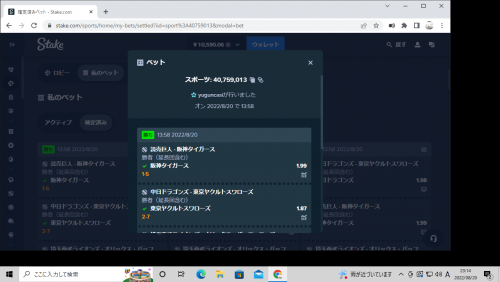 スクリーンショット (113).png