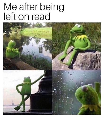 Waiting kermit 05082019042651.jpg