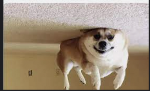 111.PNG