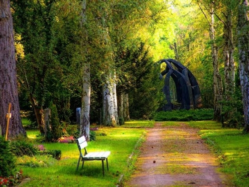 images (6).jpeg