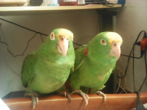 marina y roberto.jpg