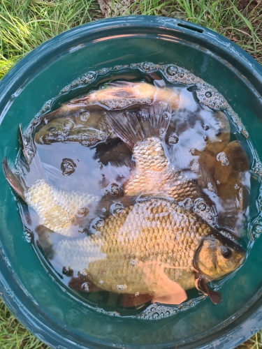 20220811_191654.jpg