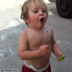 3df3e6ea6381d3761ae914126fa67225.gif.f58113106e729c274788af4869255ffe.gif