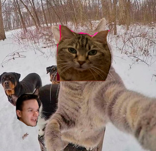 798896192_catmeme1.thumb.png.2adc24d93913c4e6e5d6d9e3262611e2.png
