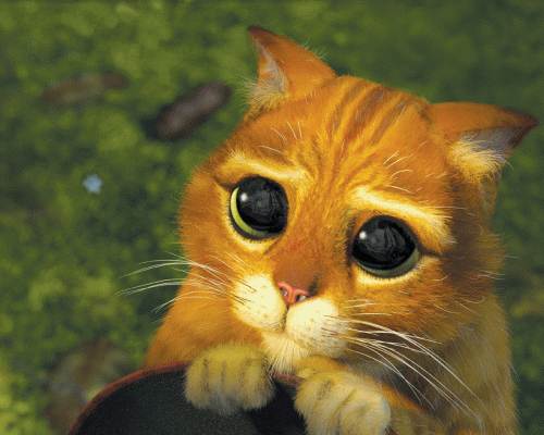 PussInBoots1.thumb.gif.1bb49caf71a8e46ba1f265d586b5a911.gif