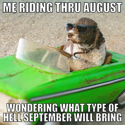 august-meme.jpeg