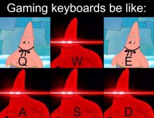 fd3.jpg