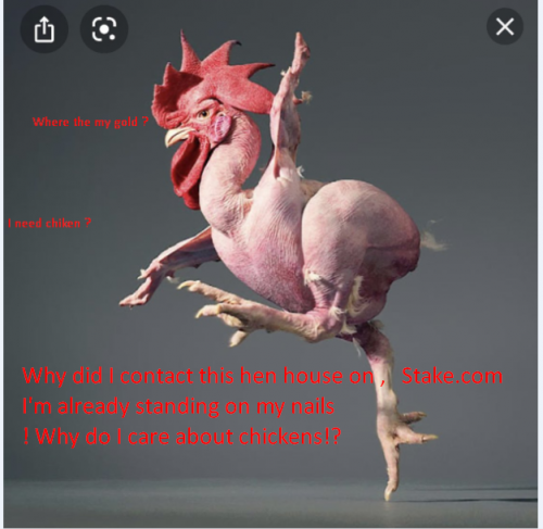 gdrfg.png