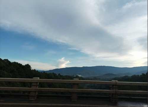 image.thumb.png.16d6d9d8758a615bf4961ad40dc40a3a.png