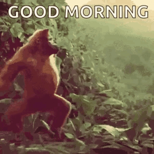 image.thumb.png.1937bd5466ec124314c9445c73482662.png