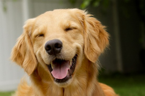 image.thumb.png.2a7975d62323523912a02412cbb3c360.png