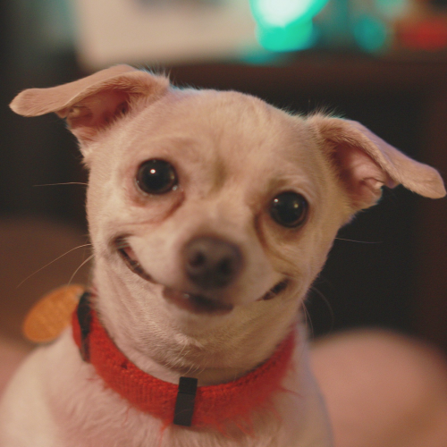 image.thumb.png.2ea1290e570d232ad1f326c74944d7f8.png
