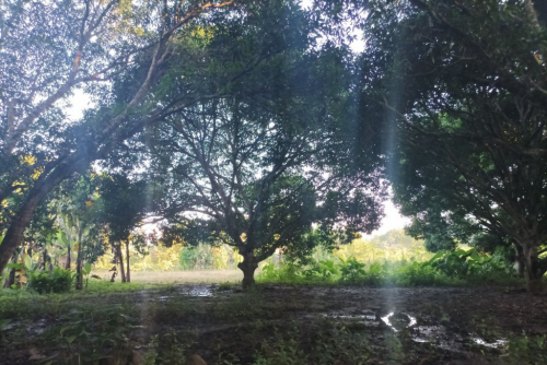 image.thumb.png.5d4606147dcd70baab9ac311345d3f1b.png