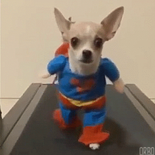 image.thumb.png.84f9a55075cbd9487eb81066831486ce.png