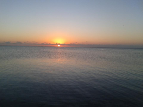 image.thumb.png.97968c7020a1f555958e1daf068b7a2d.png