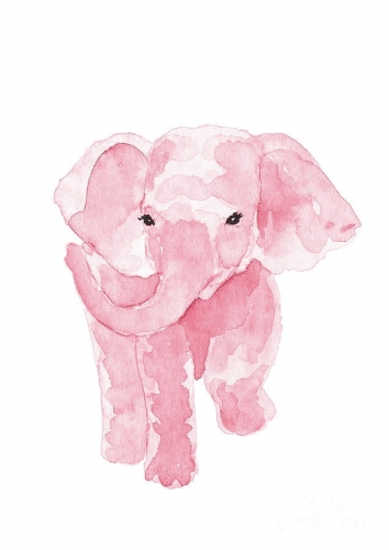pretty-pink-baby-elephant-facing-front-joanna-szmerdt.jpg