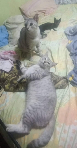 received_5116345705161291.jpeg