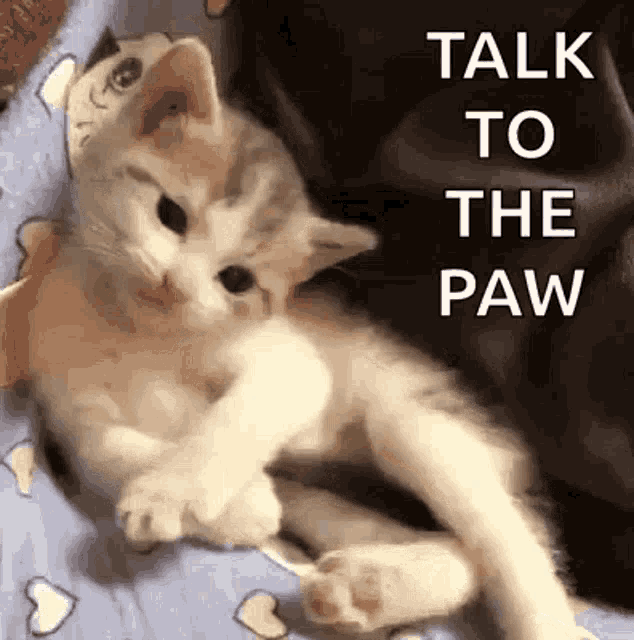 sassy-funny.gif