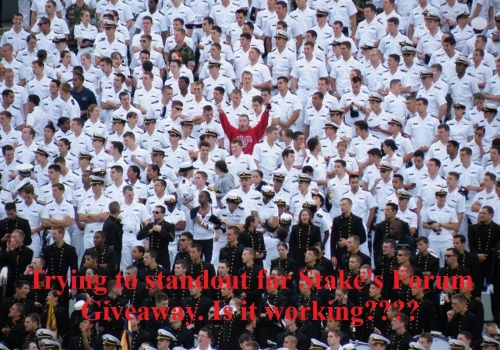 standout.jpg