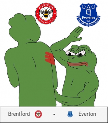 the-frog-meme-idlememe-24.jpg