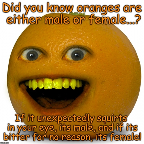 1wt0b2.jpg