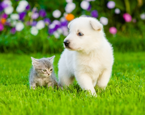 38d4740a96de995f495da92b70a429a1.jpg