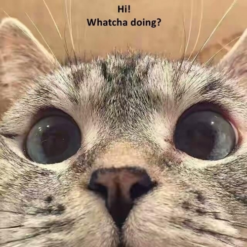 391c4702d18e30c1fe92a8ffdeafc45f.thumb.jpg.f8531f8b4bf043833ce703657e1742c1.jpg