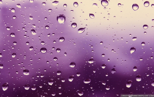 purple rain.jpeg