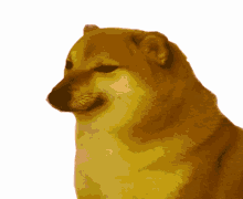 ECB9C5CC-4019-48F0-BED3-7FF91D531C03.gif.e21de32bb9295561b76ddb6c0edb6f93.gif