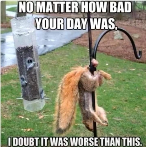 FB_IMG_1659965307046.thumb.jpg.74c80e4c04494e4f2ea08424a0293b9f.jpg