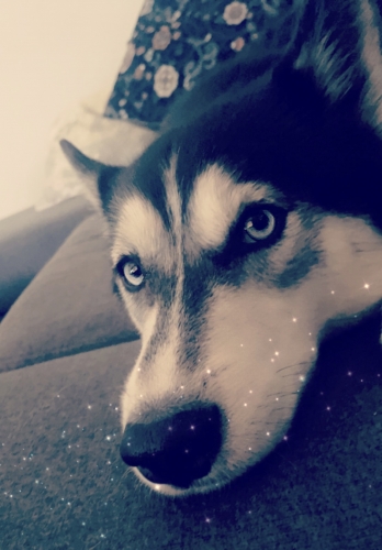 Hati.thumb.jpg.f1651216a30d19a635401b2aa0d52ef1.jpg
