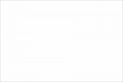 White_full.png
