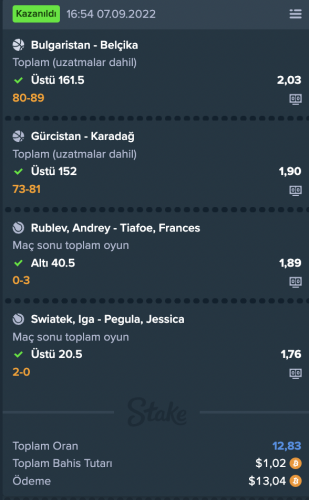 denizminibaskettenis.thumb.png.04a6e9ee4170603d28c0f6089ea48e56.png