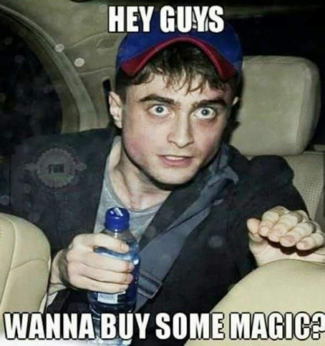 harry.jpg