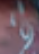 image.png.5e6182ab826e21b60b4688b77b8c2aea.png