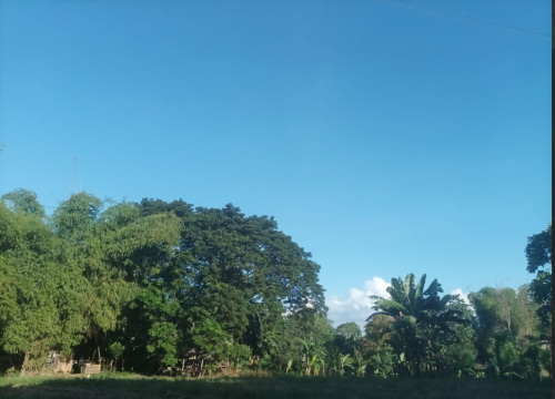 image.thumb.png.136551d98b91630d56f13a68d1b21363.png