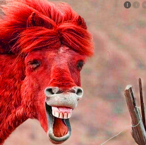 image.thumb.png.59bf43cba69dca5aa44da7067f8d0ad9.png