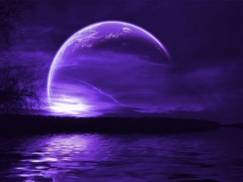 image.thumb.png.a663ec3e699a7800a80e0f6f0462ca9b.png
