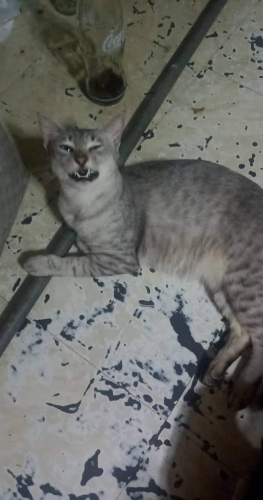 received_1755627728119192.jpeg