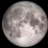 MrMoonMan
